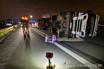 Vrachtwagen met levende kippen kantelt op E17: ongeval zorgt tijdlang voor zware file