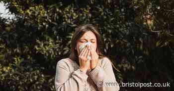 Pharmacist shares 'two-step method' to help cure winter cold without Lemsip