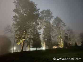 Morning Notes for December 11, 2024