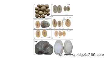 Rare Cave Pearls with Ancient Pottery Discovered in Jerusalem’s Joweizeh Tunnel