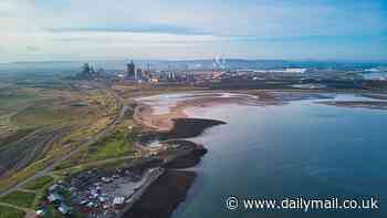 UK government gives the go-ahead to store 100 MILLION tonnes of CO2 under the North Sea - but experts raise fears the greenhouse gas could leak and taint water supplies