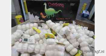 "Dollarkoers, hoge zeevrachtkosten, quota-overschrijdingen en nog veel meer uitdagingen op wereldwijde knoflookmarkt"