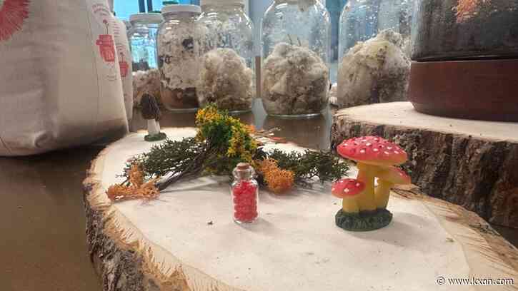 Baby poop and fungi; why Austin company says they could be the solution to plastic crisis