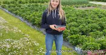 Heartbreaking tribute paid to woman, 24, killed on Upton Bypass