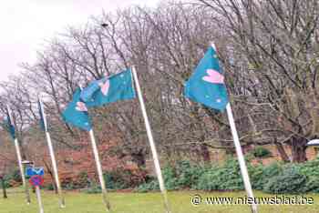 Deurne heist Koestervlag als steun na verlies kind
