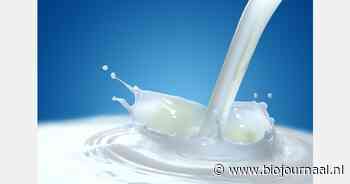 Melkveehouder bij College Boer over omschakeling naar biologisch