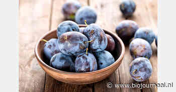 Afzet Zwitserse bio-pruimen bereikt hoogste punt in september