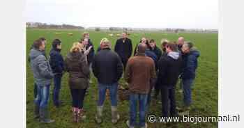 Masterclass Renderende gewassen op 16 december