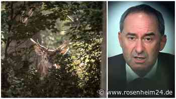 Jäger blitzen bei Aiwanger ab: Ist der Streit um längere Schonzeiten damit nun beendet?