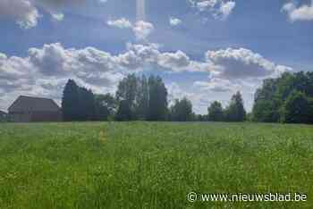 Verkaveling langs Kleine Weg goedgekeurd ondanks protest van Groen