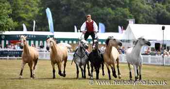 East Yorkshire family business that provides horses for Peaky Blinders and Emmerdale to be Main Ring attraction at Great Yorkshire Show 2025