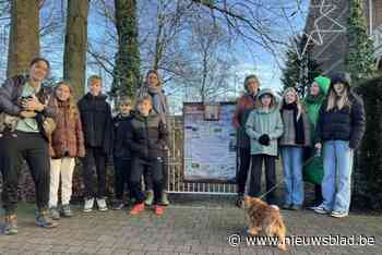 Met deze activiteiten kan je in Zandhoven echte kerstsfeer opsnuiven