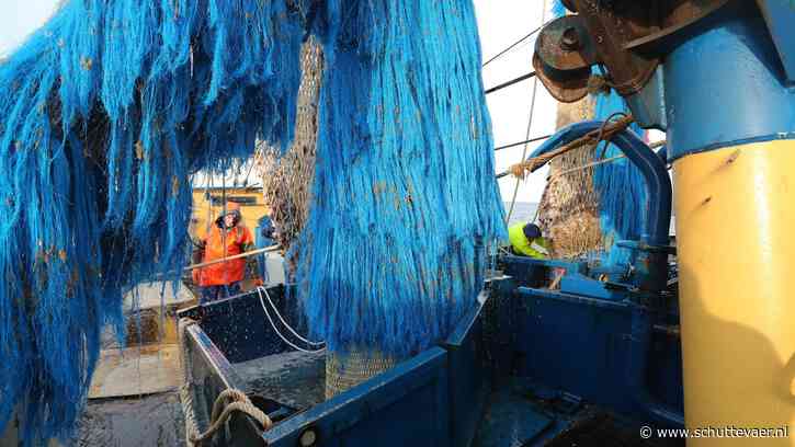 Nederlandse tongquotum 172% hoger in 2025