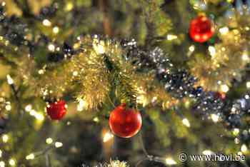 Kerstspullen en speelgoed gestolen in Genk