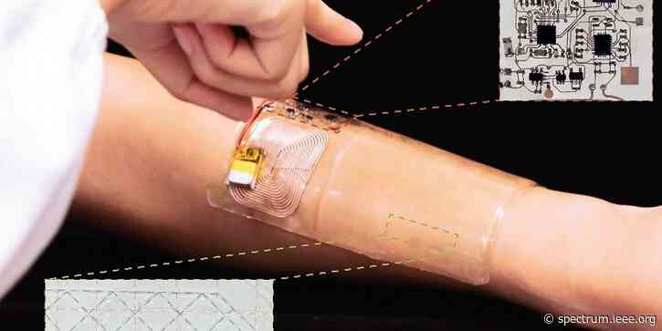 Fish-Inspired Sensor "Touches" Using Electric Fields