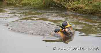 Divers in search for former England rugby player Tom Voyce missing in Northumberland