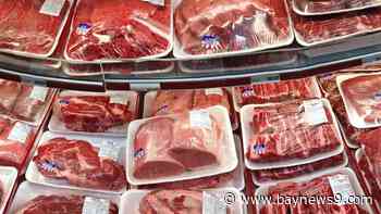 More beans and less red meat: Nutrition experts weigh in on U.S. dietary guidelines