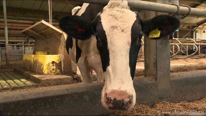 Flevoland - Flevoland zet druk op minister voor oplossing stikstofprobleem bij boeren