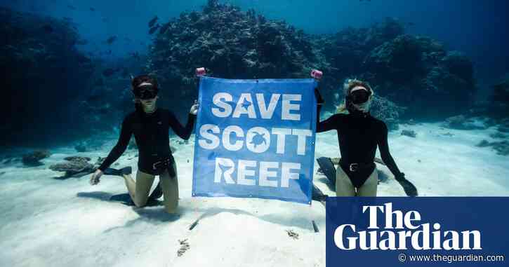Rare vision of WA’s Scott Reef shows dazzling ecosystem threatened by gas projects – video