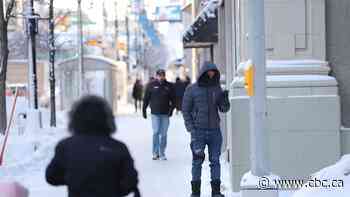 Plunging temperatures don't dampen spirits for some Winnipeggers braving the cold