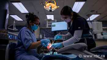 Health minister won't say when millions more Canadians can apply for dental coverage