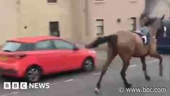 Startled racehorse galloped through high street