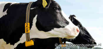 Melkprijzen zijn toe aan een stofbeurt
