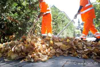 Straßenreinigung, Abwasser, Bustickets – Leben in Münster wird teurer