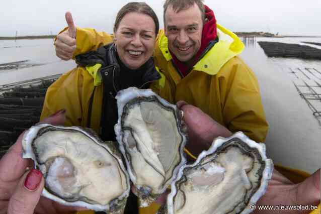 Van een buis op school in Hoogstraten tot oesterkoningin van Frankrijk: op bezoek bij ‘Madame Gillardeau’ en haar onafscheidelijke broer