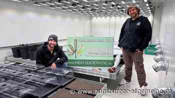 Lizenz erhalten: Die „High Society“ darf jetzt Cannabis anbauen