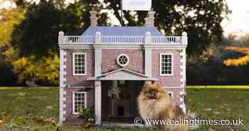 Bridgerton fever shaping how we name our dogs in 2024