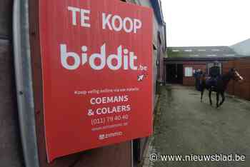 Geen enkel bod voor manège Breugelhoeve: “Geïnteresseerden hebben nog vragen”