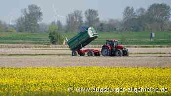 Hohe Kosten, schlechte Preise: Bayerns Bauern haben deutlich weniger verdient