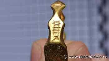 Talk about striking gold! Amateur metal detectorist discovers a stunning medieval ring in Salisbury worth more than £10,000