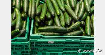 Frans komkommerseizoen gekenmerkt door de grillen van het weer