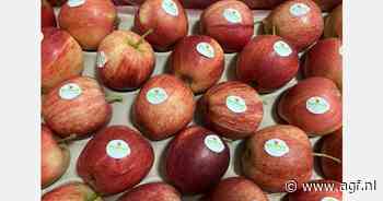 Opleving van Poolse appelenexport