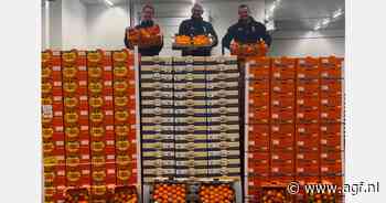 "Wij moeten marktkramers de mogelijkheid geven onderscheidend te zijn richting de feestdagen"