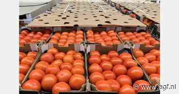 Minder lokale tomaten in Europese winter, meer import uit Marokko