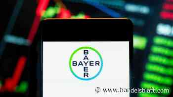 Dax-Konzern: Wetten auf fallende Kurse sind bei Bayer-Aktie höher als bislang bekannt