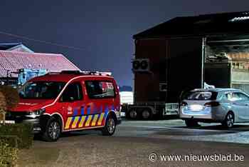 Brandweer redt leven van 15 varkens nadat mestkelder plots instort