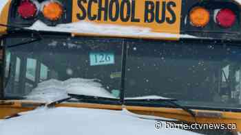 Incoming squalls could total 80cm as buses cancelled around the region