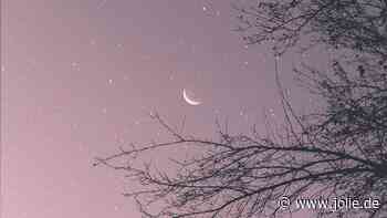 So stehen die Sterne am Wochenende vom 13.-15. Dezember für jedes Sternzeichen