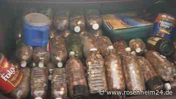 Mann erbt Kofferraum voller Geld – doch dadurch hat er gleich mehrere Probleme