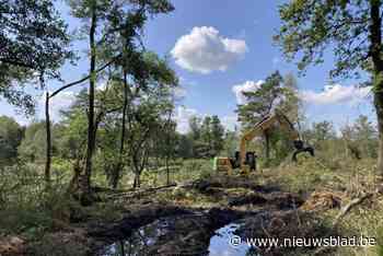 Veengebieden langs E314 worden hersteld: “Complex werk in een kwetsbare zone”