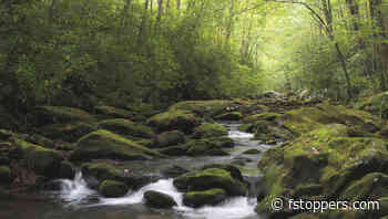 Dealing With Photography Gear Failure in the Field