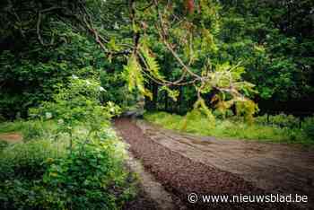 Maria Van Deyckpark in wijk Nekkerspoel verovert tweede plaats op Openbaar Groen Awards: “Erkenning voor haar generositeit”