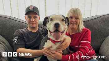 Dog left in cold to spend Christmas with new family