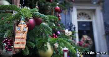 Christmas trees: Knowing the environmental impact of going real vs. artificial