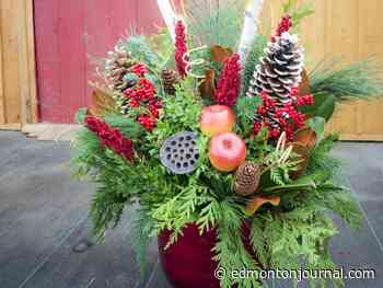 How to get most from your Christmas containers