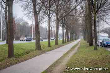 Groenere omgeving rond campus in Diepenbeek … door kappen van 305 bomen